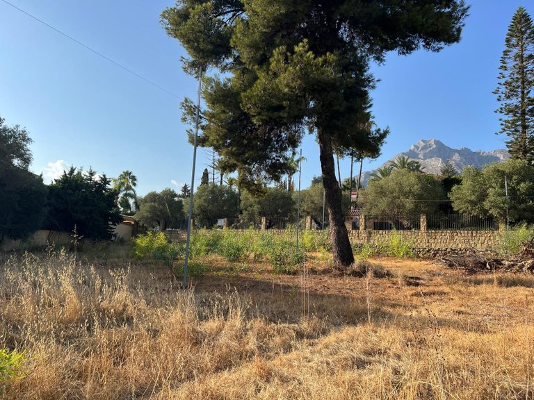 Plot for Sale in Marbella, Malaga 3