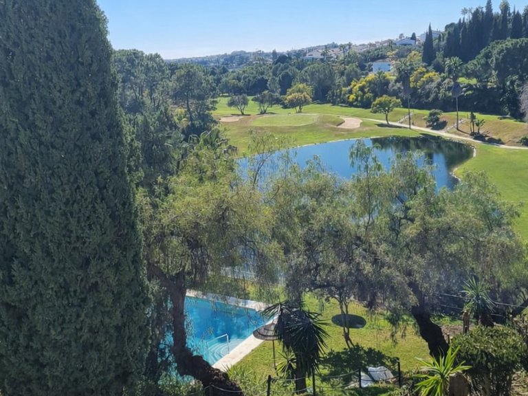 Apartment for Sale in Benahavis, Malaga 14