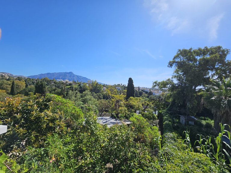 Villa for Sale in Benahavis, Malaga 3