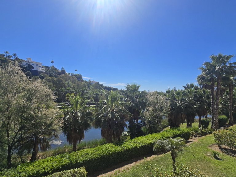 Apartment for Sale in Benahavis, Malaga 25