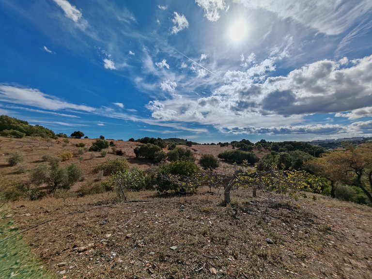 Country House for Sale in Estepona, Malaga 17