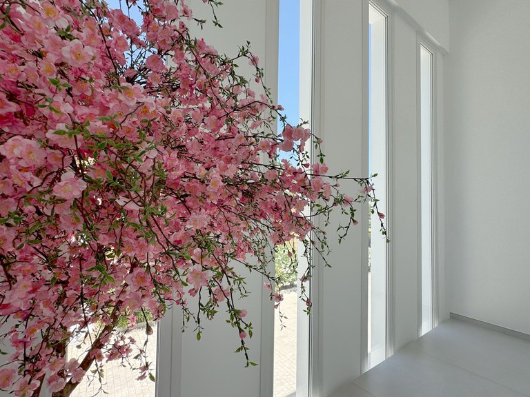 Villa for Sale in Marbella, Malaga 15
