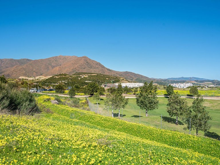 Villa for Sale in Estepona, Malaga 9