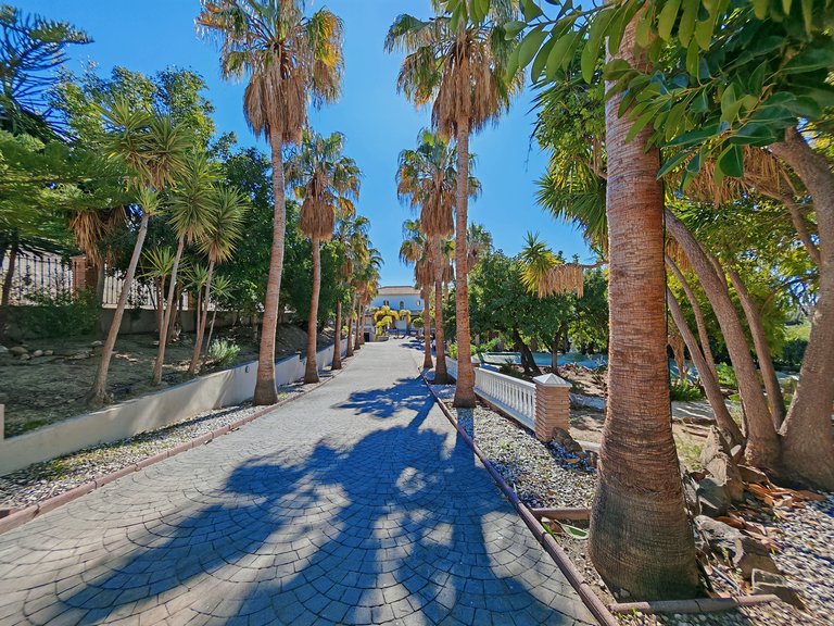Villa for Sale in Benalmadena, Malaga 25