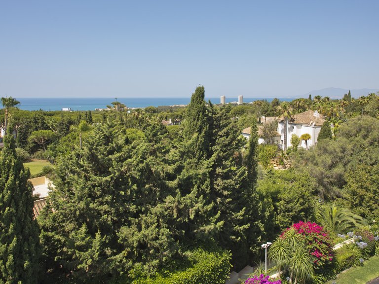 Villa for Sale in Marbella, Malaga 22