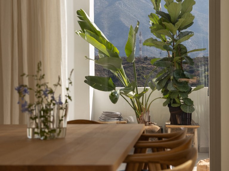 Penthouse for Sale in Marbella, Malaga 15