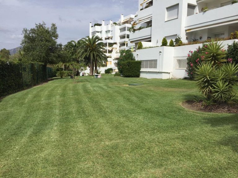 Middle Floor Apartment in Guadalmina Alta 31
