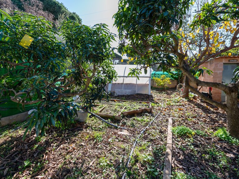 Villa for Sale in Marbella, Malaga 32