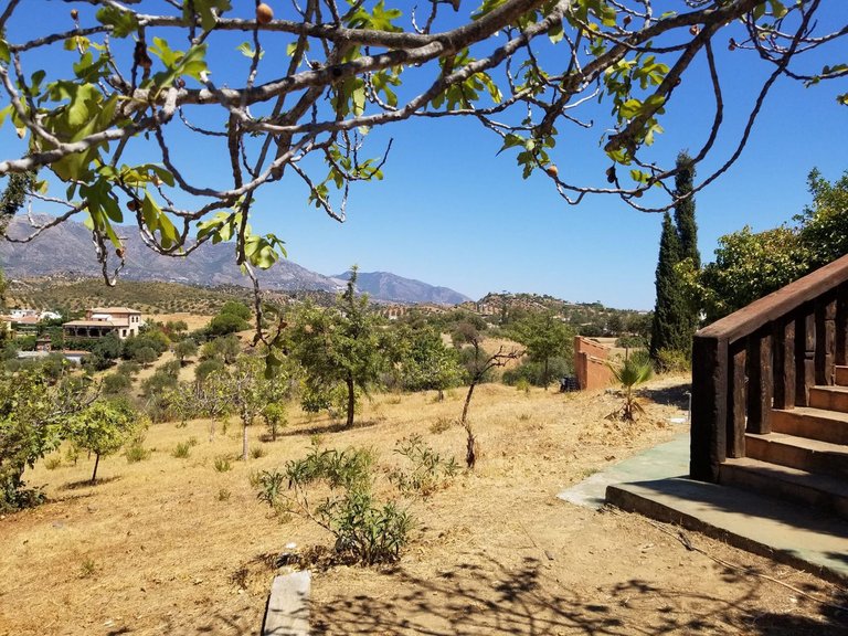 Country House for sale in Mijas Costa, Malaga 33