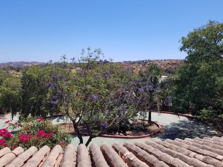 Country House for sale in Mijas Costa, Malaga 45