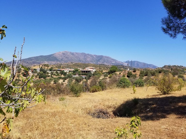 Country House for sale in Mijas Costa, Malaga 24