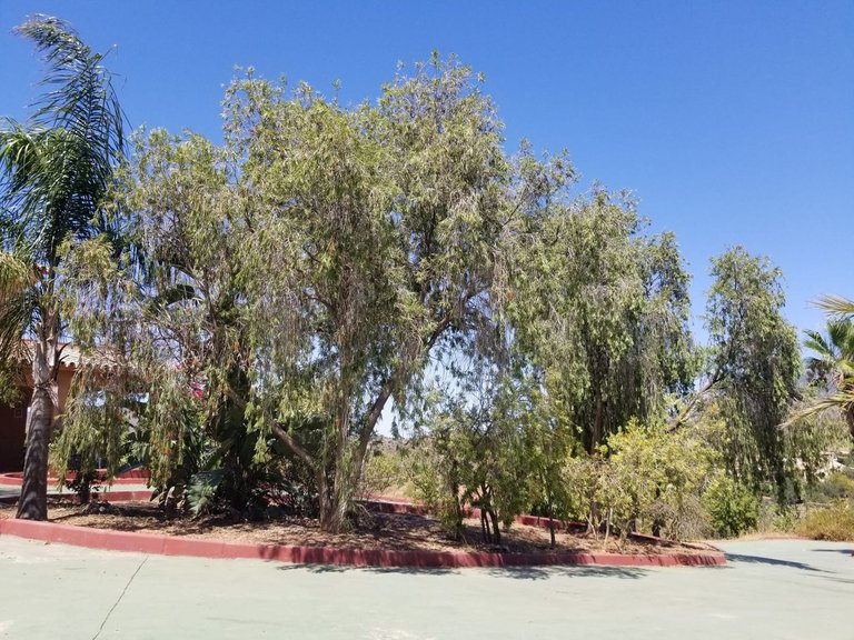 Country House for sale in Mijas Costa, Malaga 39