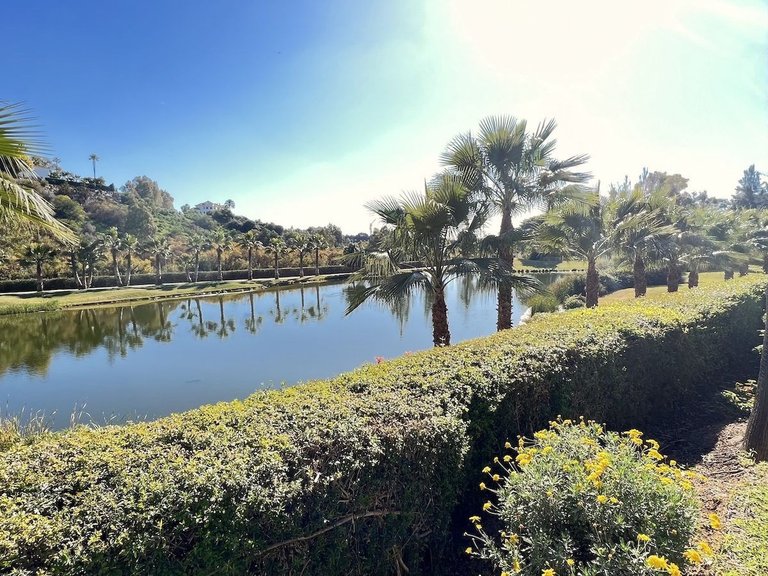 Penthouse in La Quinta 6