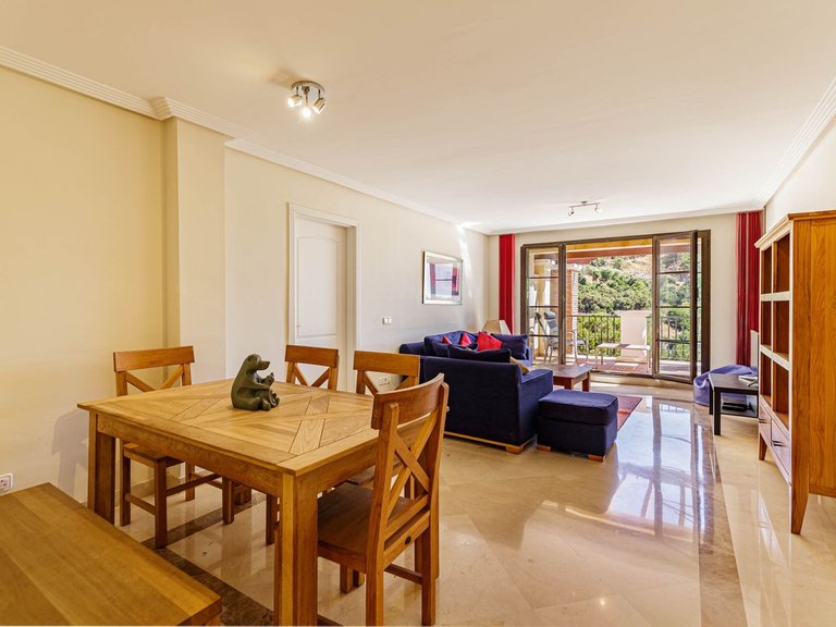 Duplex Penthouse for sale 3