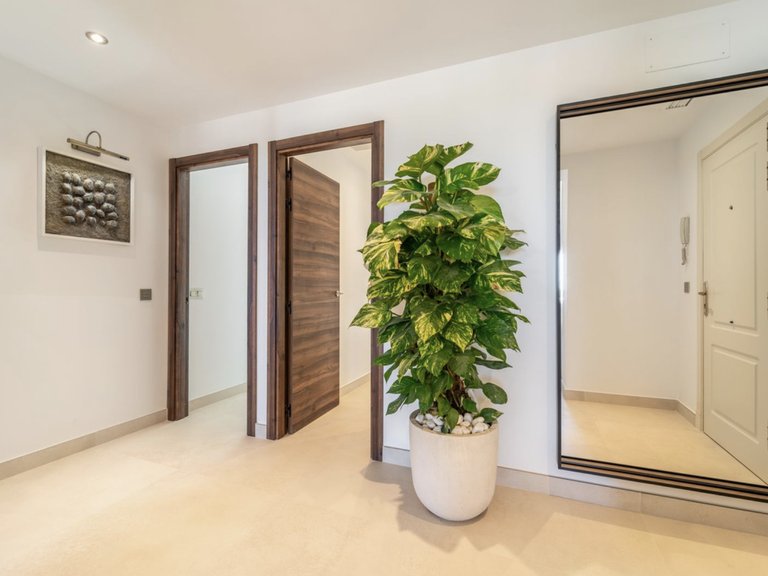 Penthouse for sale 15