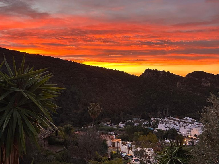Villa for Sale in Benahavis, Malaga 21
