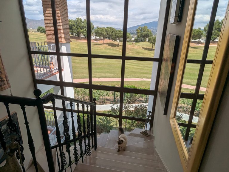 Villa for sale in Mijas Costa, Malaga 16