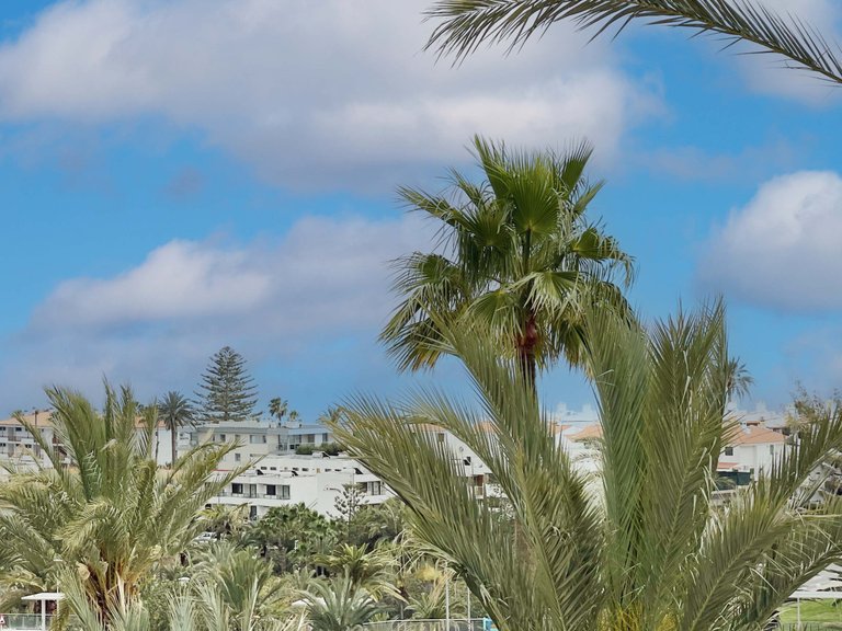 Apartment for Rent in San Bartolomé De Tirajana, Las Palmas 16