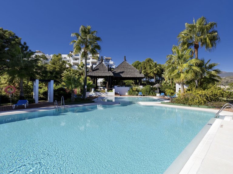 Duplex Penthouse with panoramic views. 1