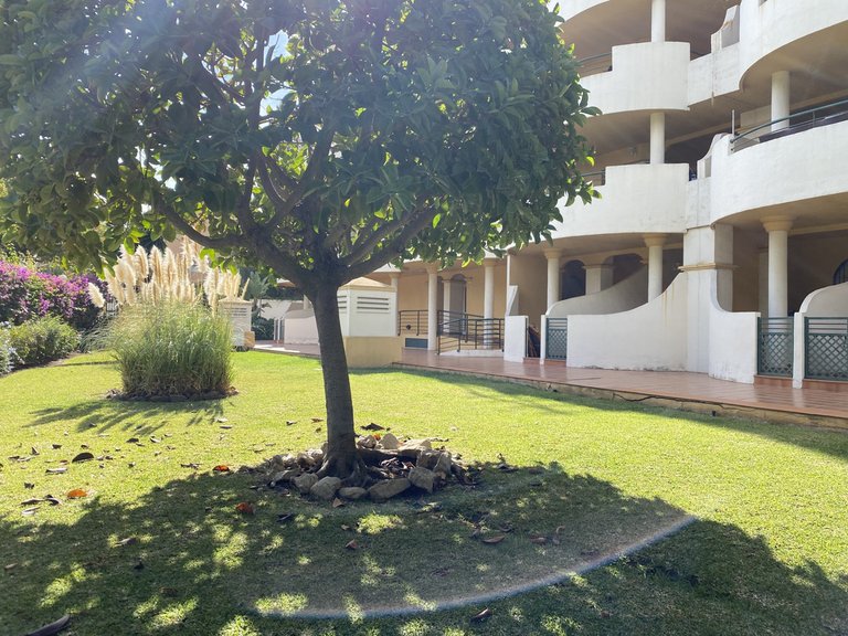 Apartment for Sale in Marbella, Malaga, Nueva Andalucia 7