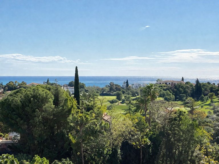 Villa for Sale in Benahavis, Malaga 16