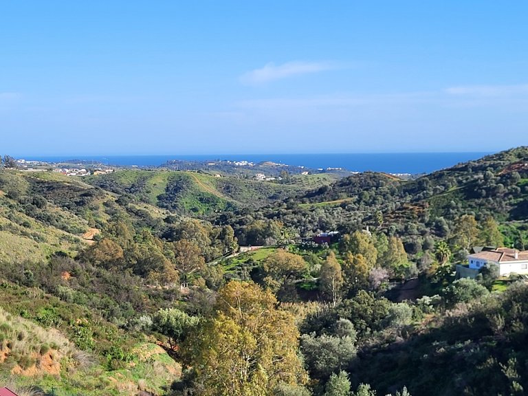 Villa for sale in Mijas Costa, Malaga 2
