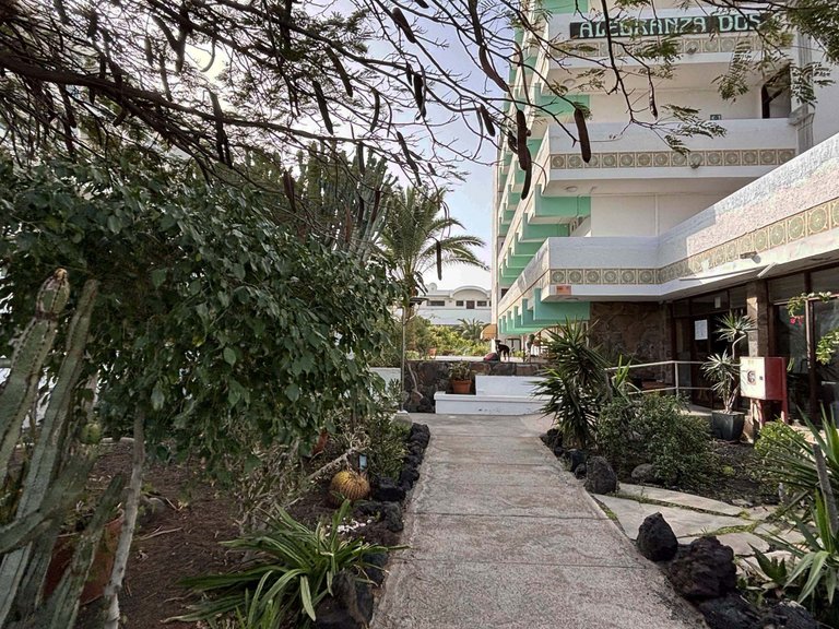 Apartment for Rent in San Bartolomé De Tirajana, Las Palmas 13