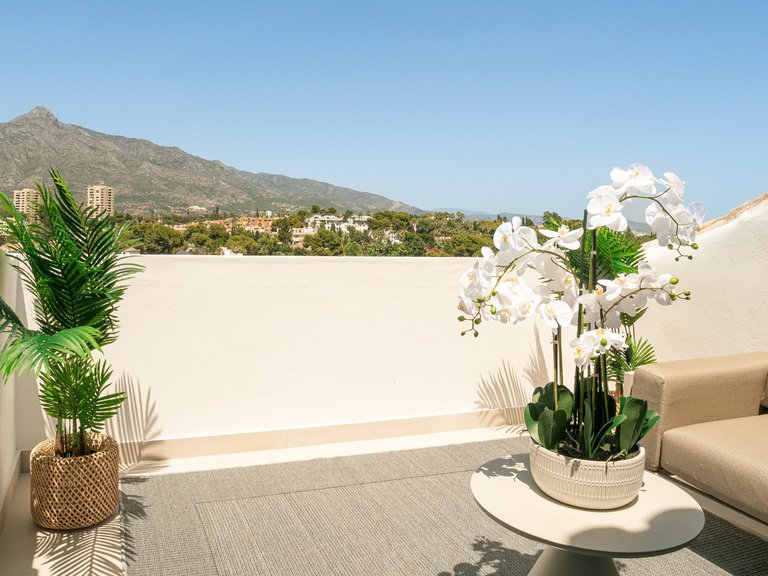 Penthouse for Sale in Marbella, Malaga, Nueva Andalucia 50