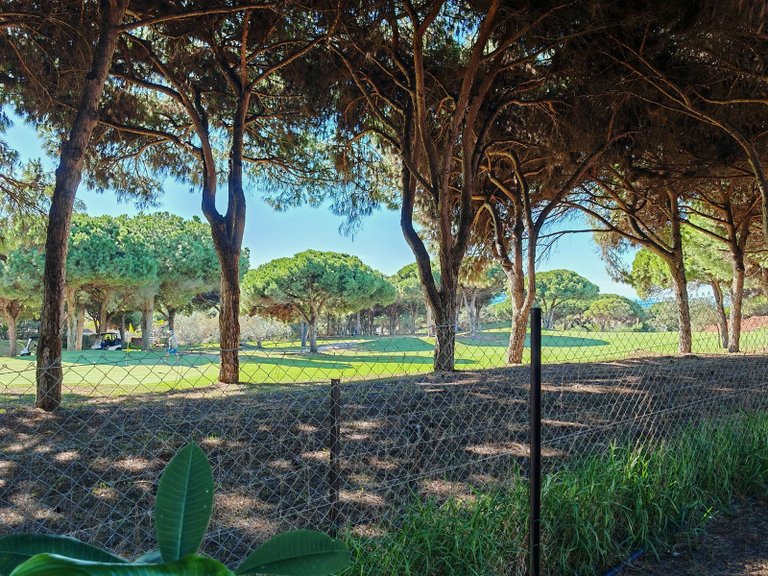 Town House for Sale in Marbella, Malaga, Marbella Este 19