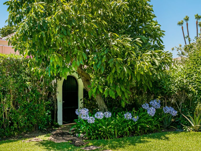 Villa for Sale in Marbella, Malaga 5