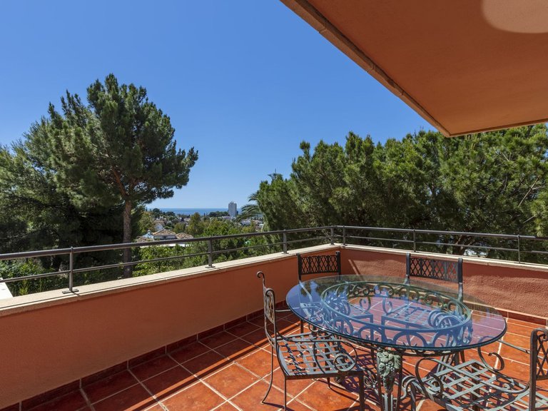 Apartment for Sale in Marbella, Malaga, Nueva Andalucia 3