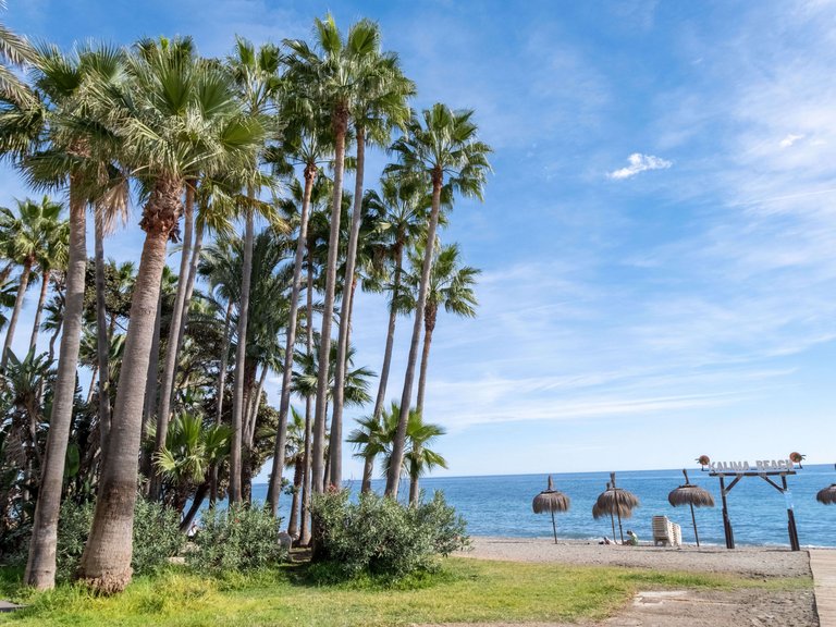Appartment for Sale in San Pedro Playa 12