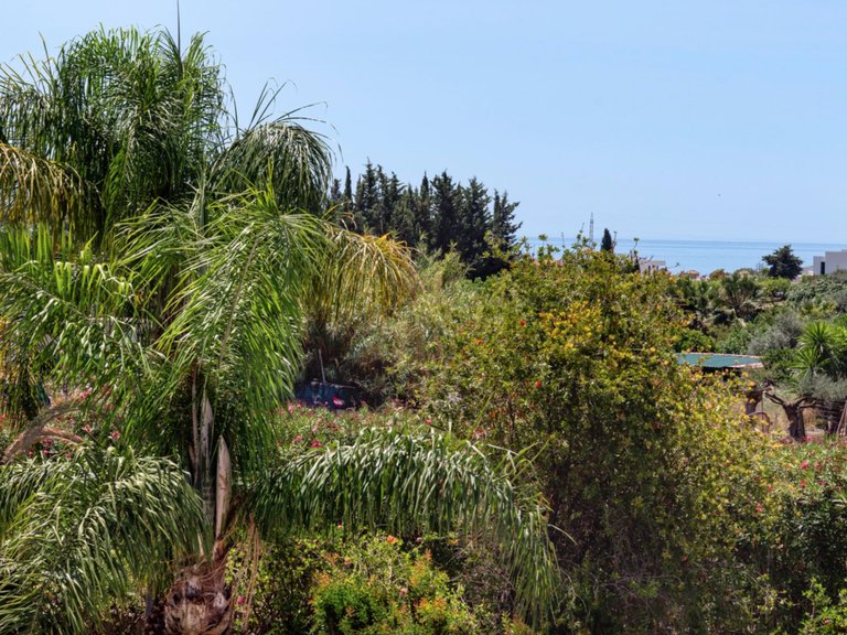 MANSION WITH LARGE GARDEN FOR SALE IN ESTEPONA EAST 22