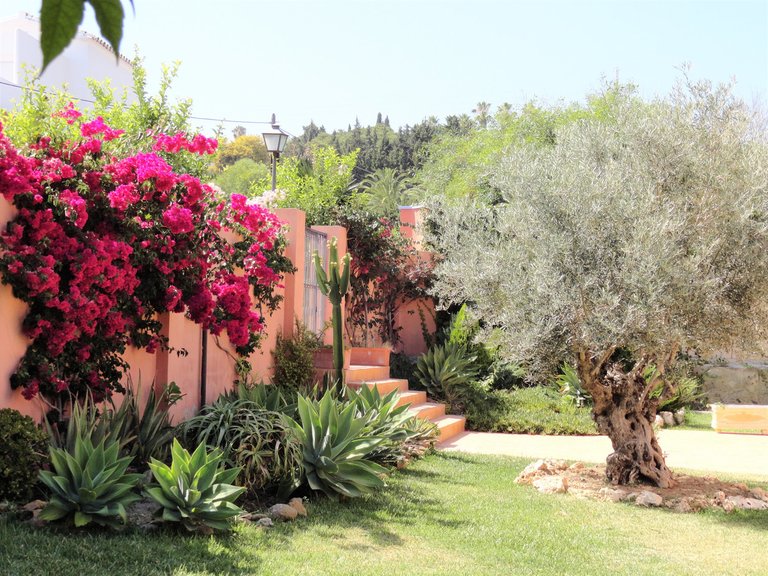 Villa for Sale in Estepona Malaga 47