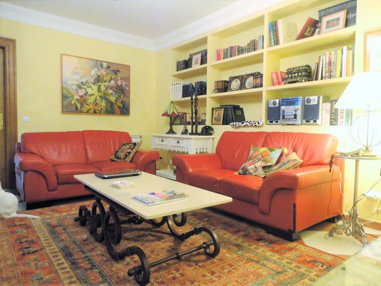 Villa for Sale in Estepona Malaga 9