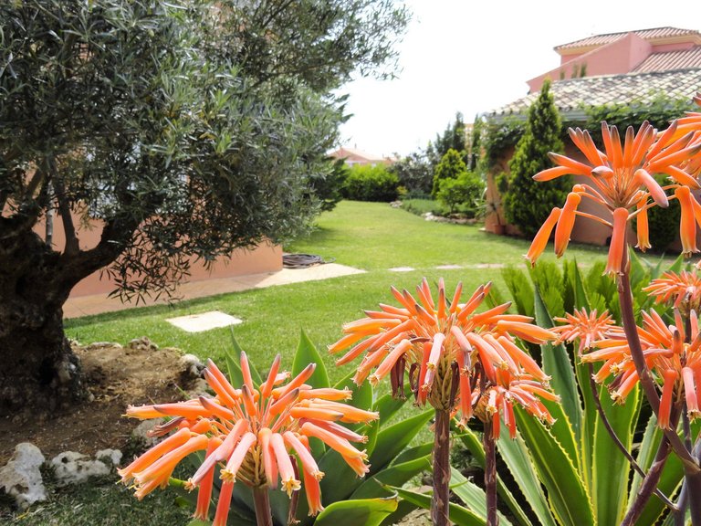Villa for Sale in Estepona Malaga 41