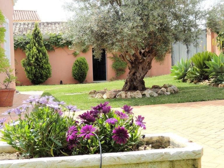 Villa for Sale in Estepona Malaga 36