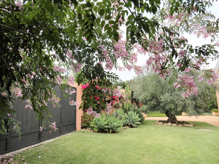 Villa for Sale in Estepona Malaga 45