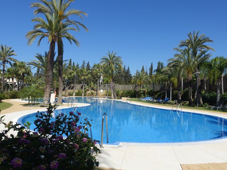 Apartment for Sale in Nueva Andalucia Malaga 1