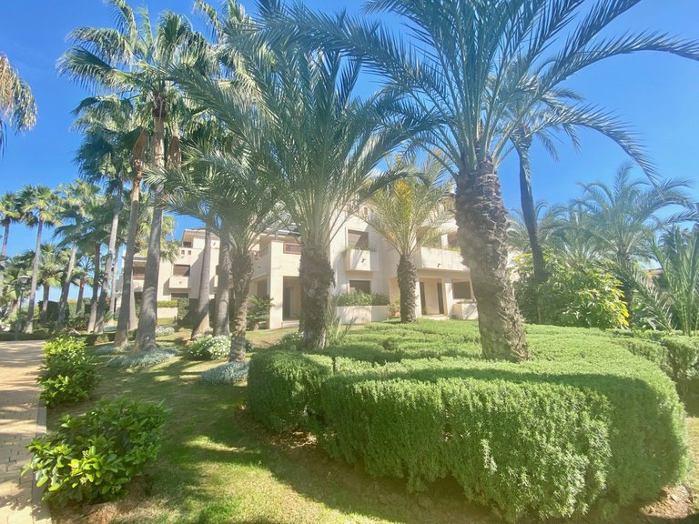 Apartment for Sale in Nueva Andalucia Malaga 13