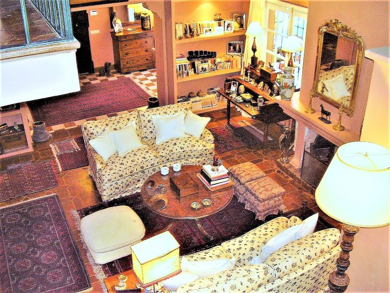 Villa for Sale in San Pedro De Alcantara Malaga 8