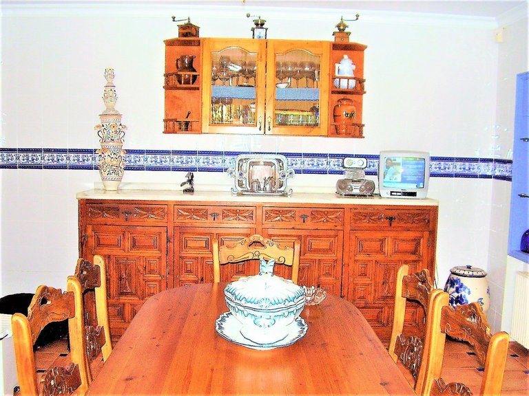 Villa for Sale in San Pedro De Alcantara Malaga 9