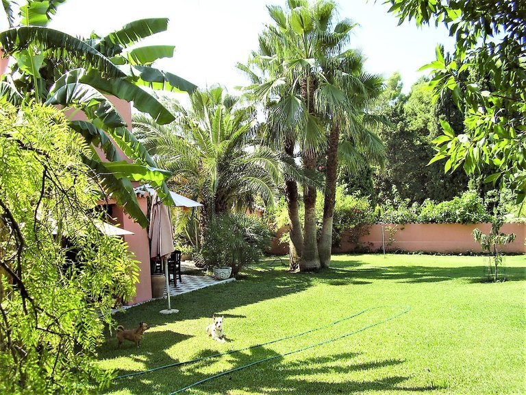 Villa for Sale in San Pedro De Alcantara Malaga 23
