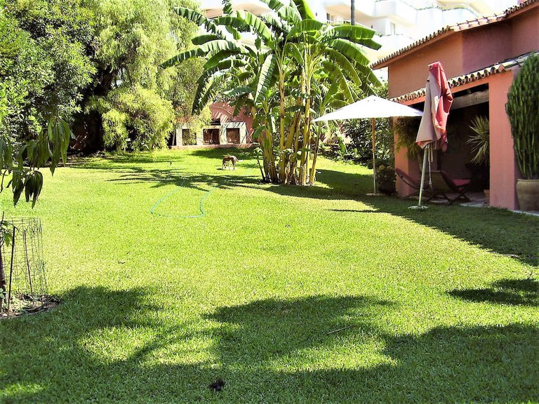 Villa for Sale in San Pedro De Alcantara Malaga 3