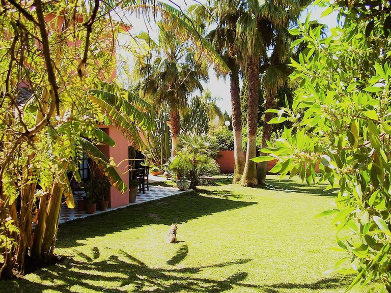 Villa for Sale in San Pedro De Alcantara Malaga 21