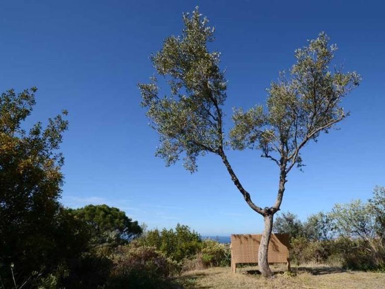 Villa for Sale in Marbella Este Malaga 18