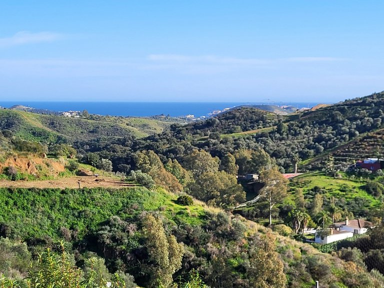 Apartment for Sale  in Mijas Costa, Malaga 9
