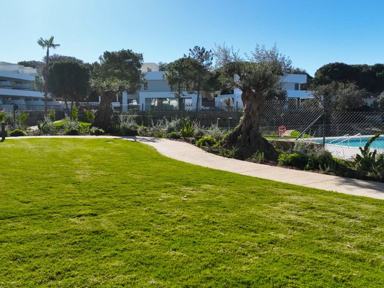 Apartment for Sale  in Marbella, Malaga 14