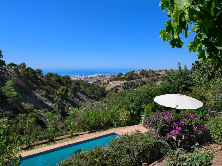 Apartment for Sale  in Estepona, Malaga 4