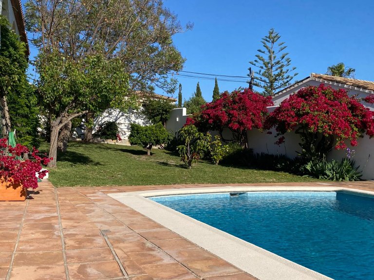 Apartment for Sale  in Estepona, Malaga 28